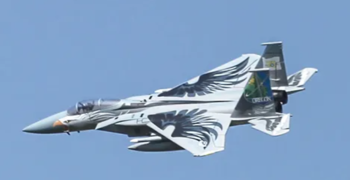 d*a様 emulation UNITED ARROWS AIR UNIT Ja Arrows F-15 Eagle Twin 64mm EDF - Oregon National Guard Livery