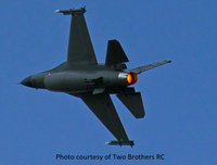 Eflite F-16 80mm Thunderbird TrueFire and BlueFire LED Afterburner