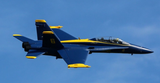 Eflite F-18 80mm Blue Angel Paint Scheme TrueFire and BlueFire LED Afterburner